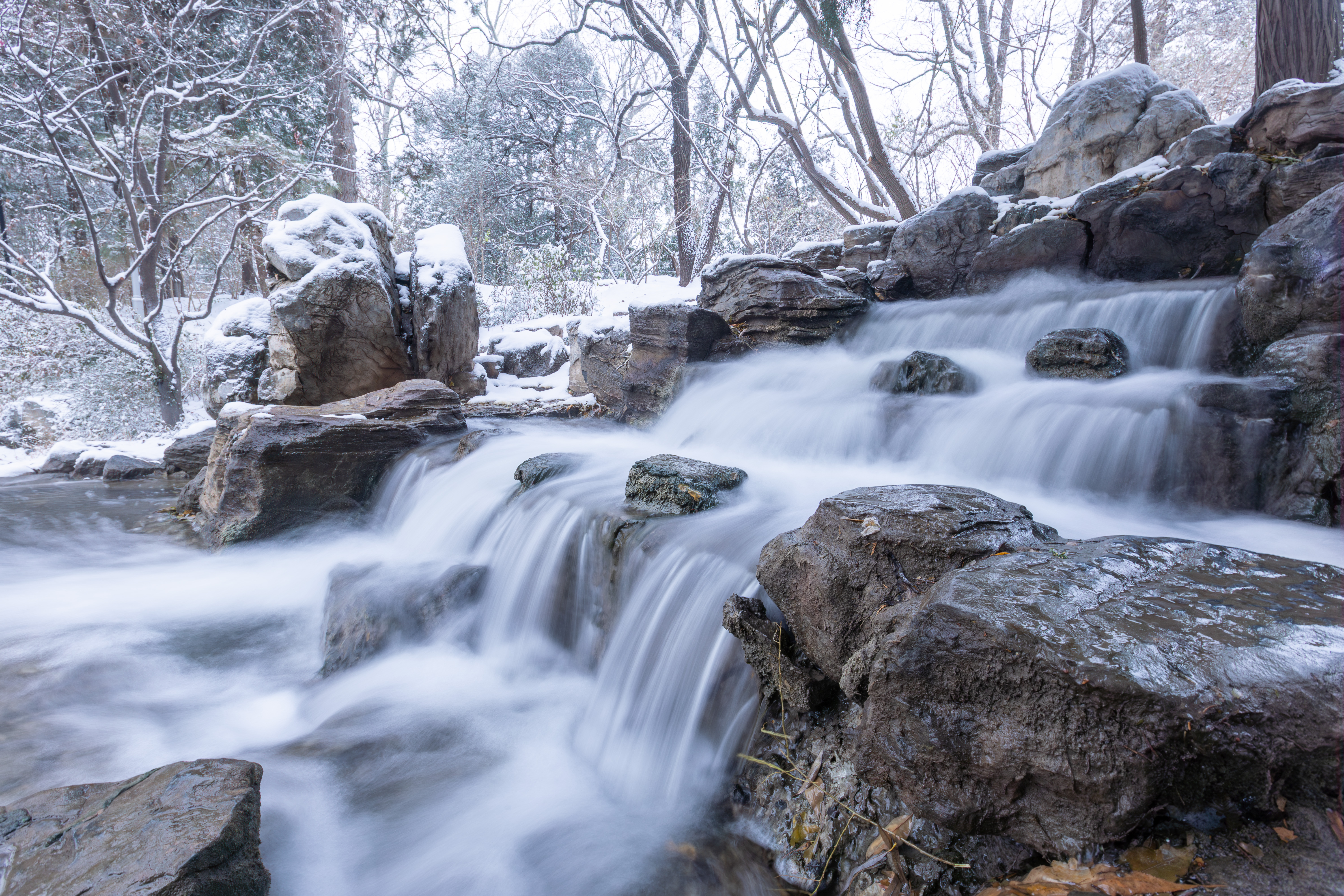 20231211-雪10-清华-供图.jpg